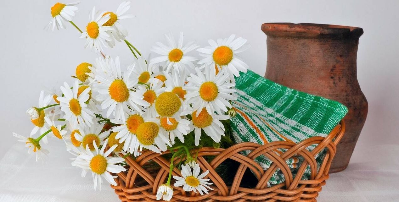 How to make facial tonic from chamomile flowers